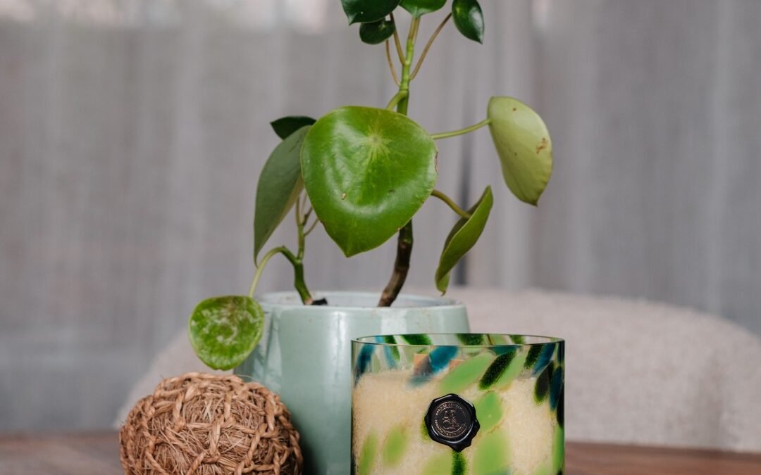 La Brésil Bougie Artisanale 500g