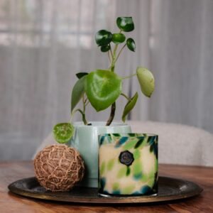 Art & Cires - La Brésil 500g